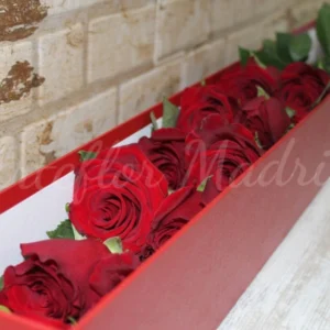 Arreglo de 12 rosas rojas en caja