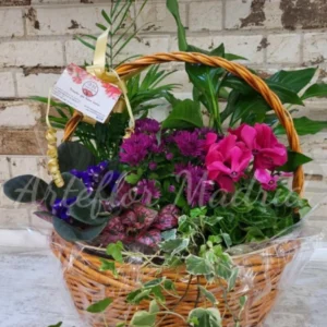 Cesta de plantas