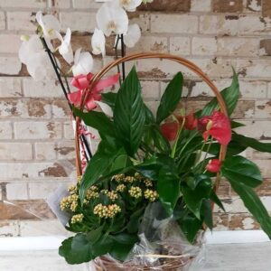 Cesta de plantas con orquideas