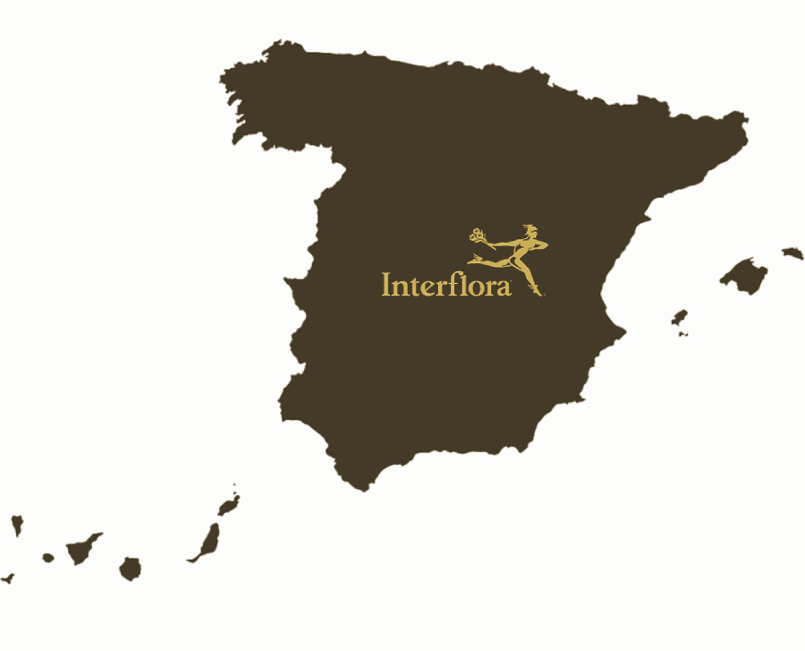 envios nacionales arteflor madrid