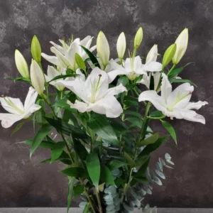 Ramo de Lilium