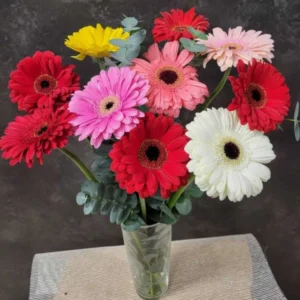 Ramo de gerberas variadas