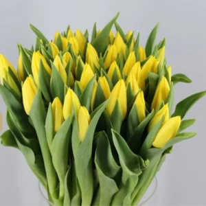 Ramo de tulipanes amarillos