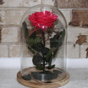 Rosa eterna con baúl cristal