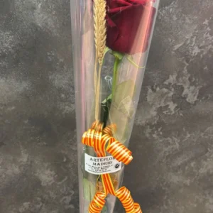 Rosa Sant Jordi